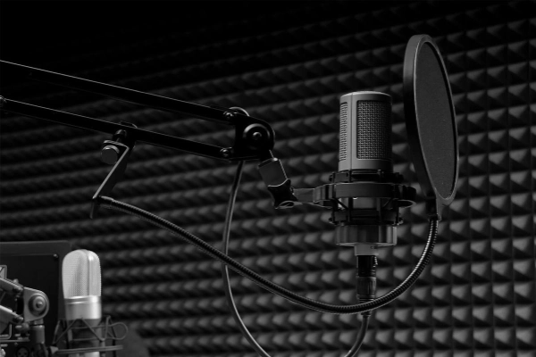 شغل گویندگی چیست